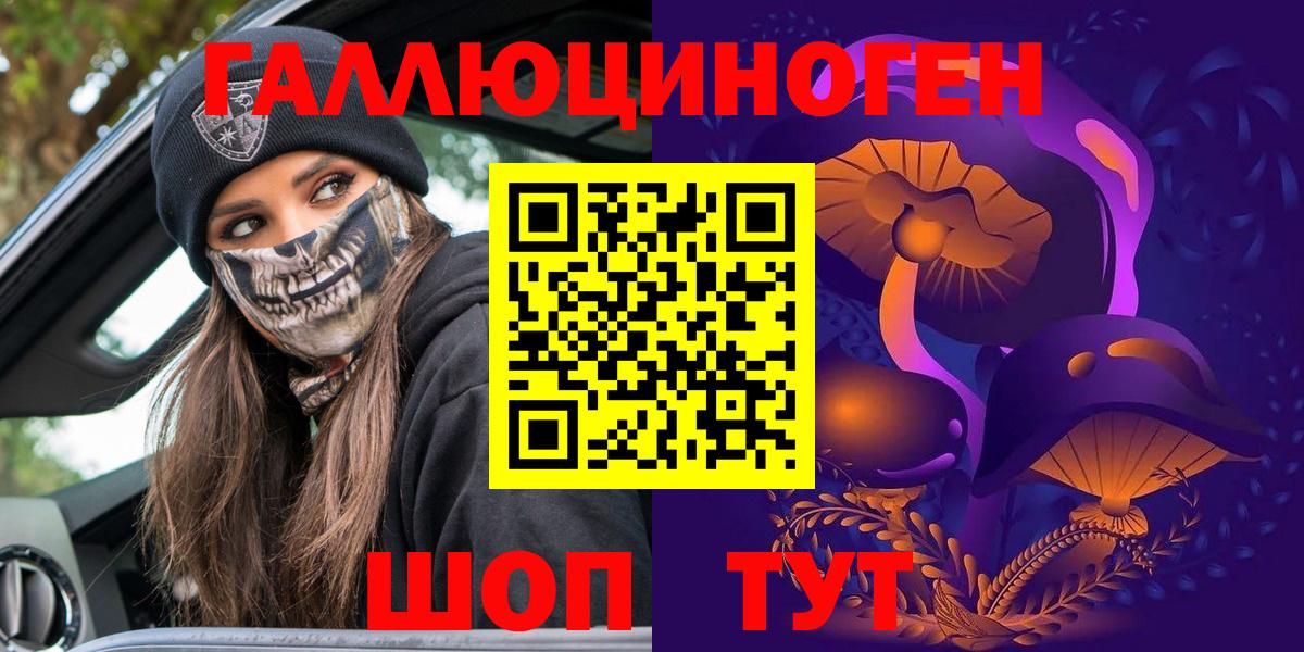 Галлюциногенные грибы Psilocybe Губкин