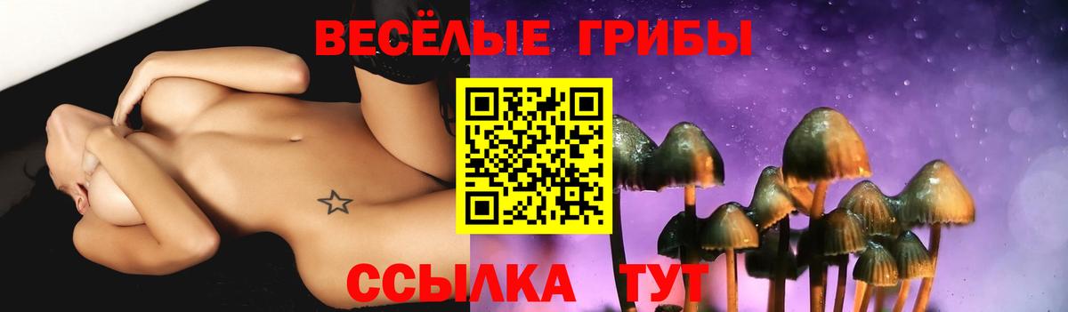 Губкин  Псилоцибиновые грибы MAGIC MUSHROOMS  Вход с VPN 